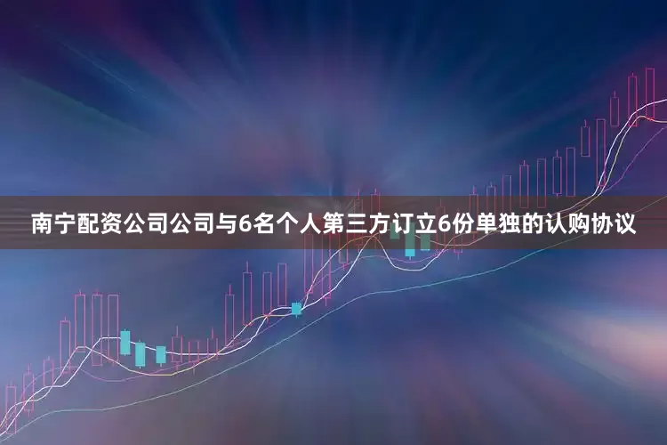 南宁配资公司公司与6名个人第三方订立6份单独的认购协议